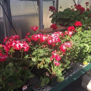 MYSTERY Box of vintage and new wonder!